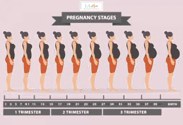 First Trimester (Weeks 1–12): Early Changes You Might Not Notice East Kilbride